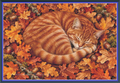 Acorn Bed