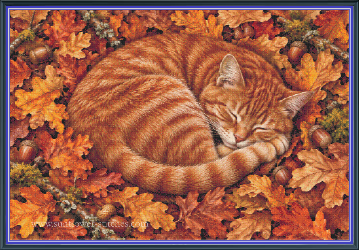 Acorn Bed