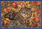 Apple Orchard