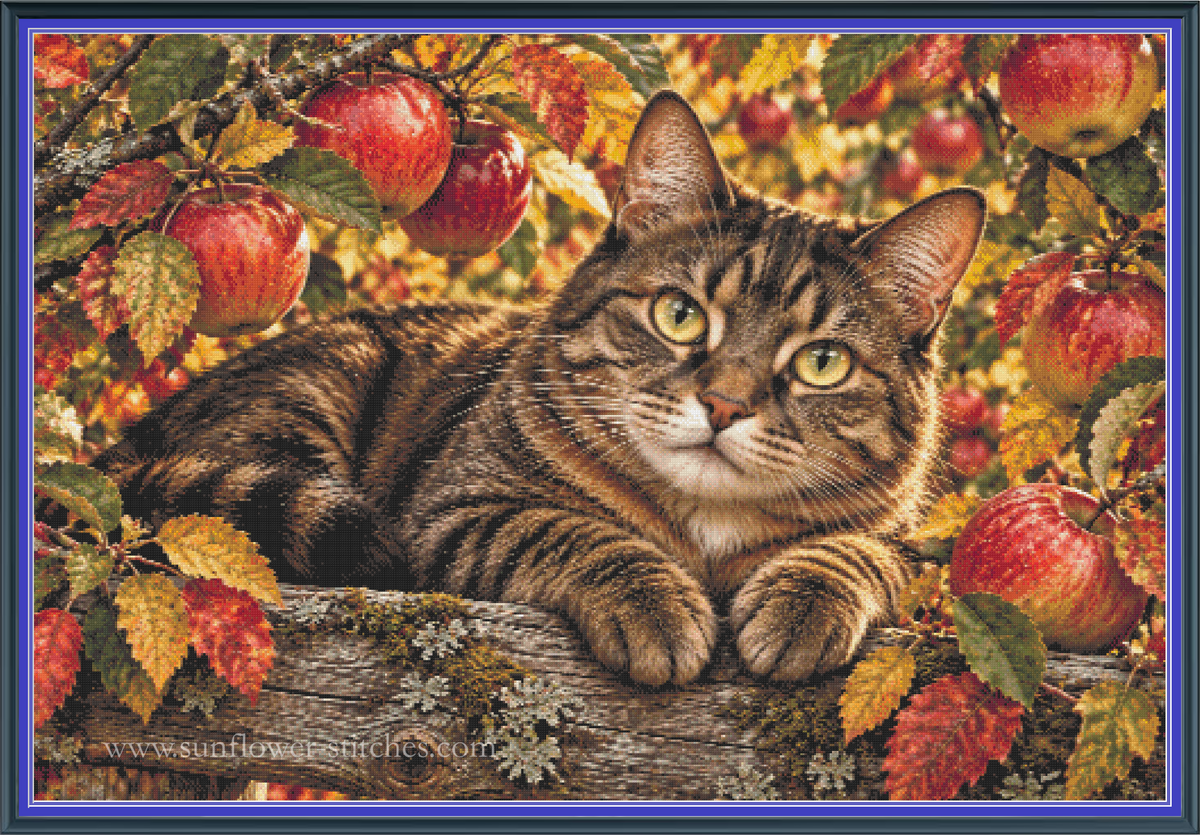 Apple Orchard