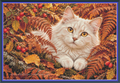 Autumn Ferns