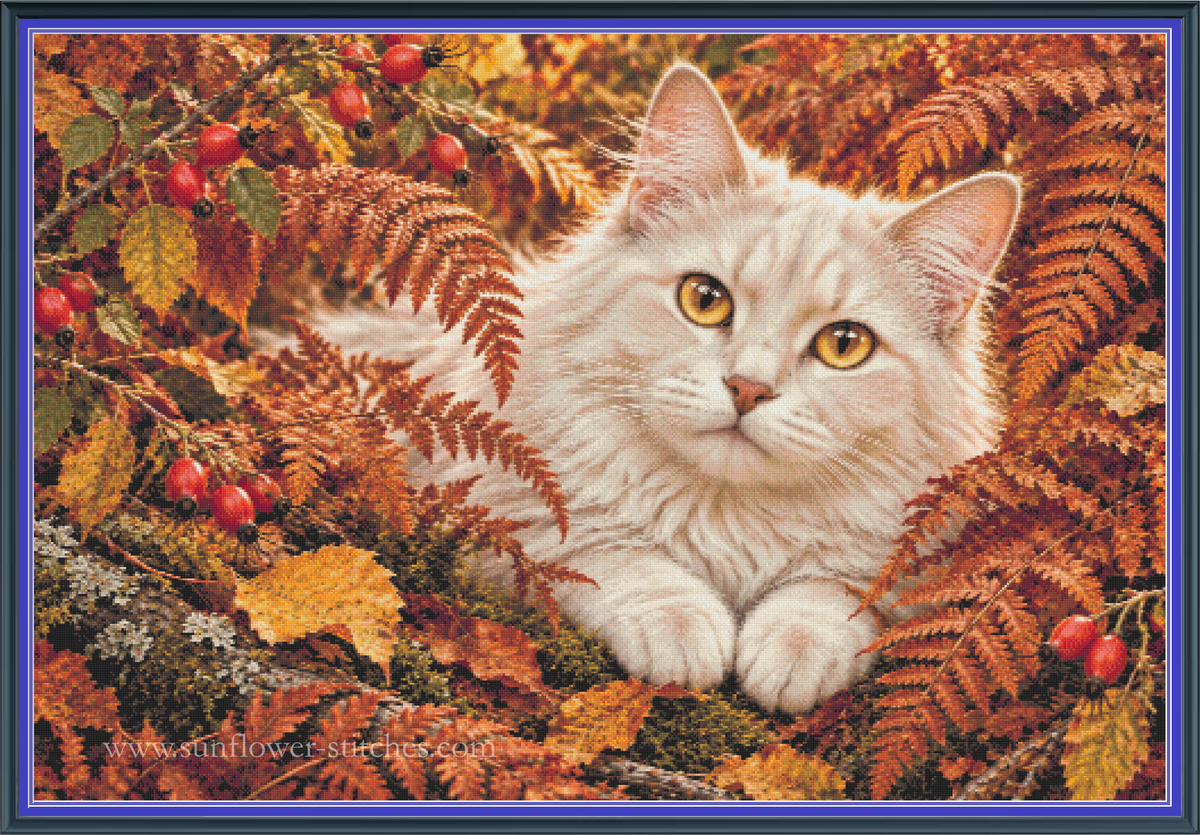 Autumn Ferns