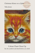 A close-up color chart and stitch guide for the pattern 'Christmas Kitten on a Quilt' by Tabz Jones. The graphic features a detailed, pixelated preview of an orange tabby kitten with blue eyes, designed to show the stitch symbols and texture of the needlework pattern.