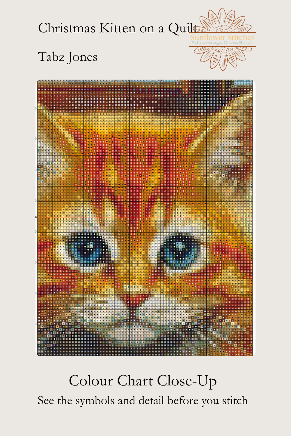 A close-up color chart and stitch guide for the pattern 'Christmas Kitten on a Quilt' by Tabz Jones. The graphic features a detailed, pixelated preview of an orange tabby kitten with blue eyes, designed to show the stitch symbols and texture of the needlework pattern.