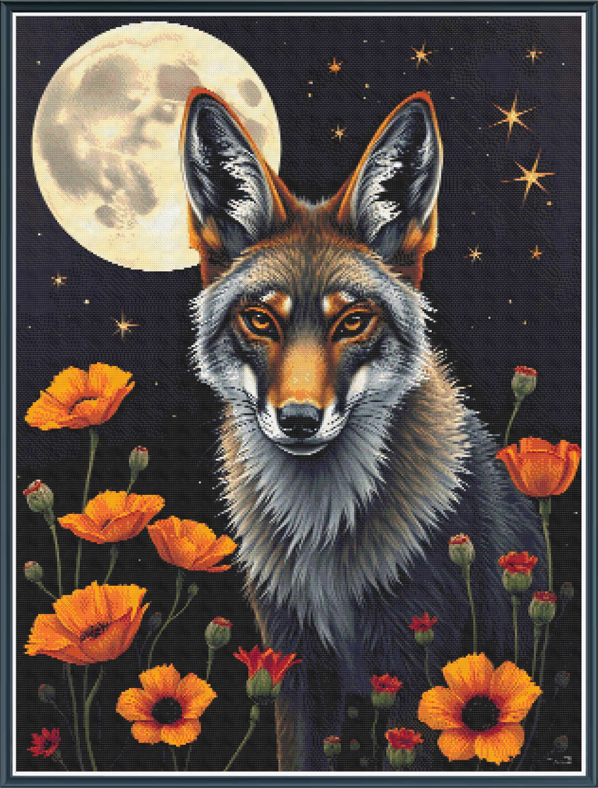 Coyote with Poppies - PDF Digital Download