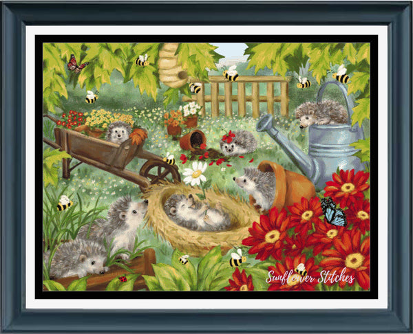 Hedgehogs Playing in the Garden