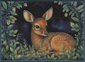 Midnight Animals Deer