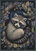 Midnight Animals Raccoon