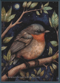 Midnight Animals Robin