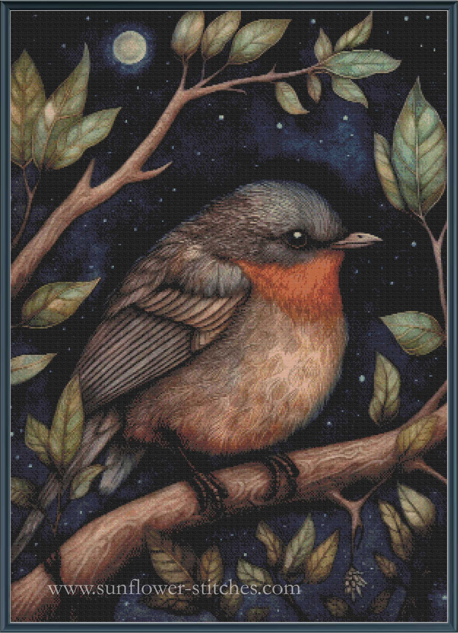 Midnight Animals Robin