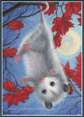 Cross stitch of an opossum hanging upside down among red leaves with a blue background