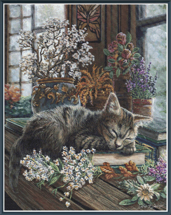 Napping Kitten - PDF Digital Download
