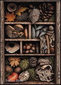 Nature's Treasure 6 - PDF Digital Download