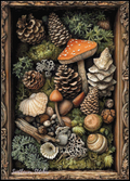 Nature's Treasure 7 - PDF Digital Download