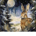 Winter Night Hare