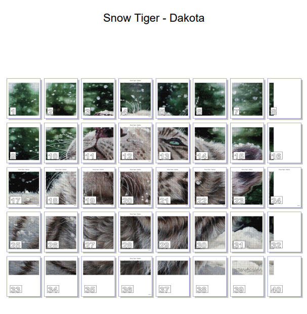 Snow Tiger