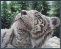 A cross-stitch pattern depicting a close-up of a white tiger cub looking upward in falling snow, with a dark green forest background. 