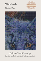 A close-up colour chart and symbol reference for a cross stitch design titled 'Woodlands' by Kaitlyn Page. The image shows a blue-toned stitched woodland motif with a cat-like face and the text 'Colour Chart Close-Up' at the bottom on a light beige background.