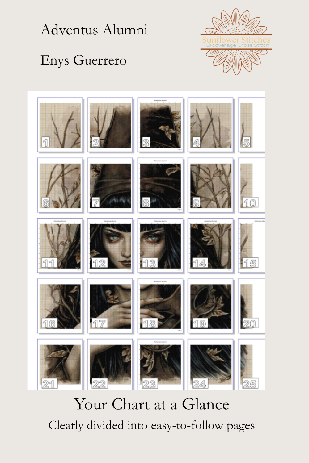 Adventus Alumni chart page map showing the witch design divided into 25 numbered cross-stitch chart pages.