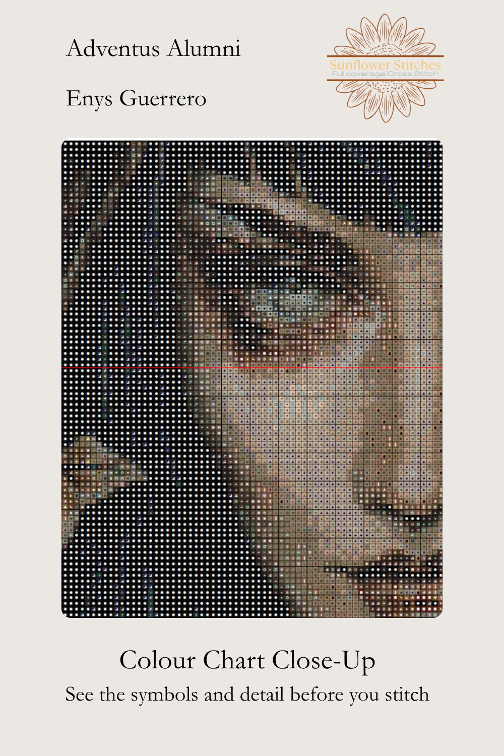 Adventus Alumni colour chart close-up showing the witch’s eye and face beneath a grid of cross-stitch symbols.