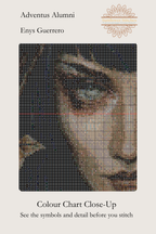 Adventus Alumni colour chart close-up showing the witch’s eye and face beneath a grid of cross-stitch symbols.