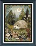 Bordered Woodland Hedgehog