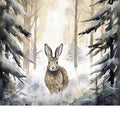 Winter Hare